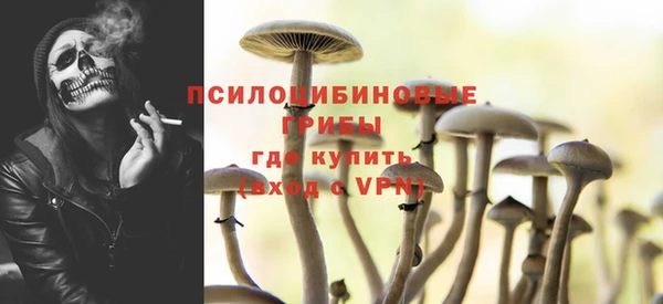 дурь Кодинск