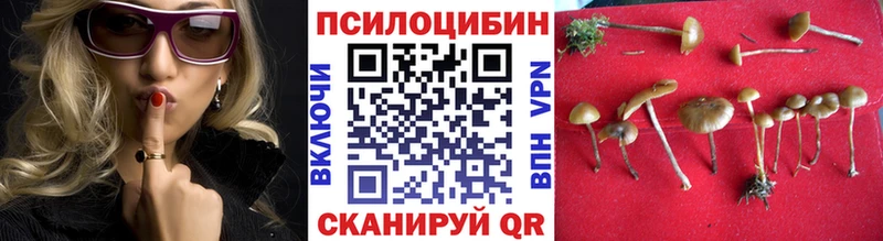 Купить закладки  Петухово  Псилоцибиновые грибы ЛСД 